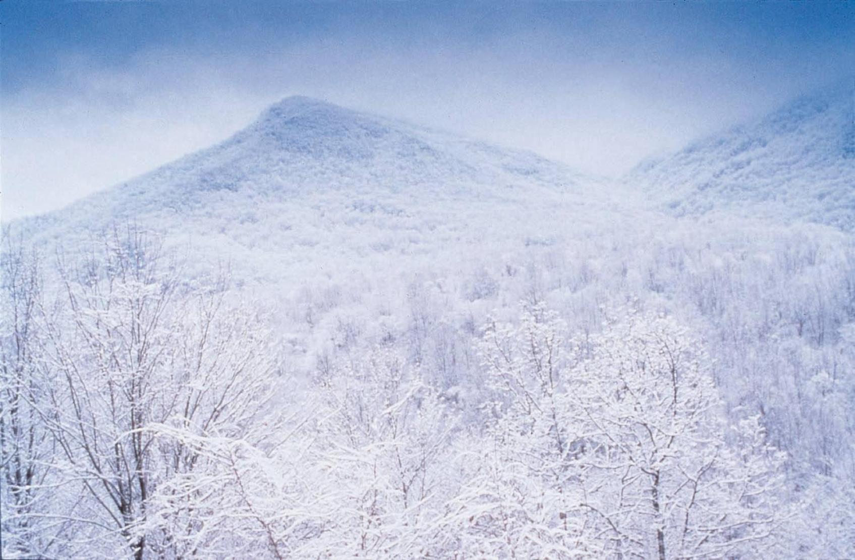 Club Wyndham Smoky Mountains Ξενοδοχείο Sevierville Εξωτερικό φωτογραφία